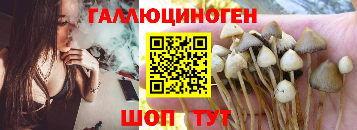 Галлюциногенные грибы Psilocybe  купить  сайты  Ковров  Вход с VPN  Псилоцибиновые грибы Cubensis 
